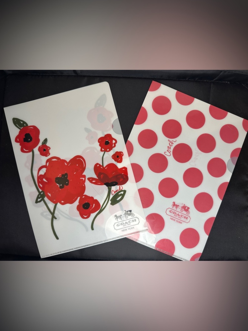 COACH Japan Exclusive Polka Dot & Floral Collectible Clear File Folder Set EUC